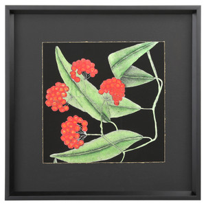 Graphic Botanical Mini XIV 19"