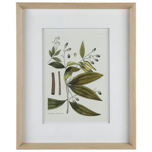 Nature's Elegance I 17"