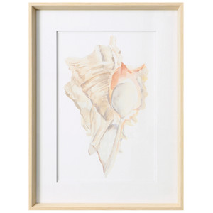Seashell IV 19"