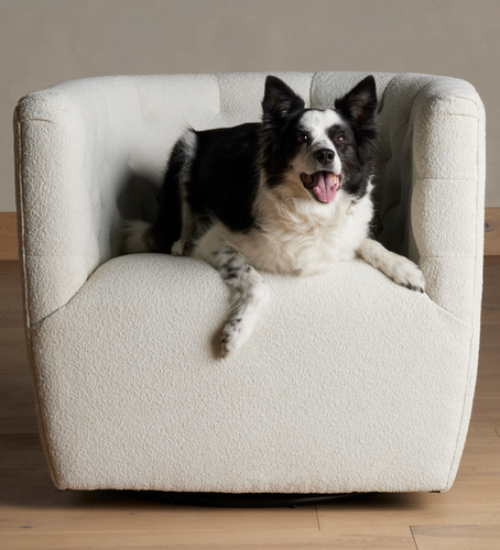 Pet-Friendly Home Furnishings: Balancing Style & Function