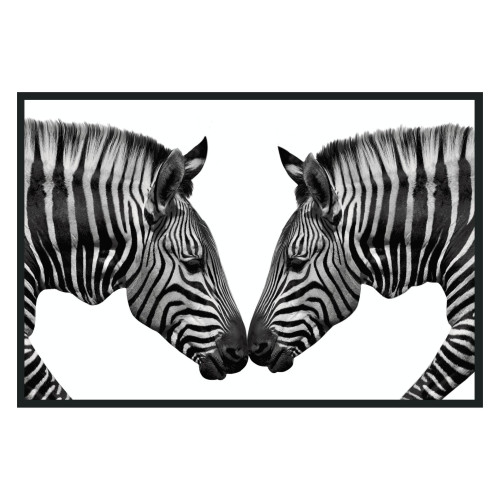 Zebras Photography 48x72