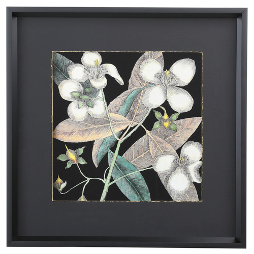 Graphic Botanical Mini XIX 19"