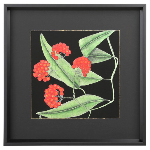 Graphic Botanical Mini XIV 19"