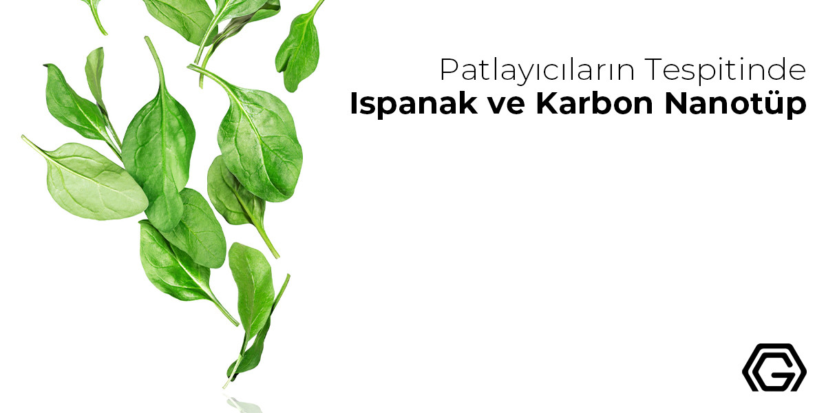 Patlayıcıların Tespitinde Ispanak ve Karbon Nanotüp