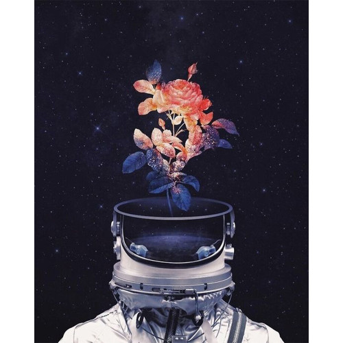 Spaceman Flower - DIY Paint By Numbers Kit