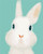 White Bunny - DIY Painting By Numbers Kit