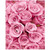 Pink Roses - DIY Painting By Numbers Kits