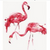 Flamingo Amigos - DIY Painting By Numbers Kit