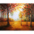 A Forest In The Fall - DIY Painting By Numbers Kit