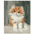 Adorable Sad Kitty - DIY Painting By Numbers Kit