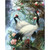 Beautiful Birds - DIY Painting By Numbers Kit