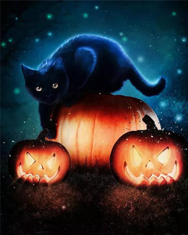 Nighttime Black Kitten - DIY Paint By Numbers Kit