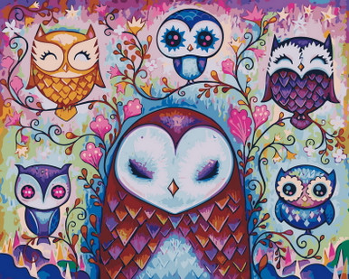 Happy Owl Variety - DIY Paint By Numbers Kit