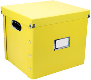 Snap-N-Store Vinyl Box, 12", Illuminating