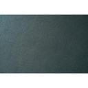 Jennair® 24" Mystic Limited Edition Cuts Leather Panel MYSTIC24