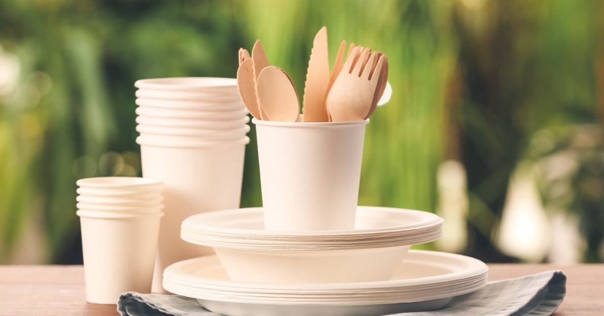 Overview of Single-Use Tableware for Restaurants