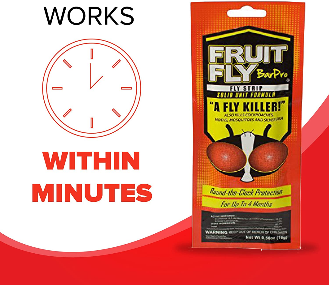 Fruit Fly BarPro Strips - Thumbnail 3