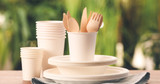 Overview of Single-Use Tableware for Restaurants
