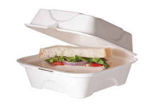 6x6x3 Eco-Friendly Disposable Takeout Box / Burger Box (500 Count)