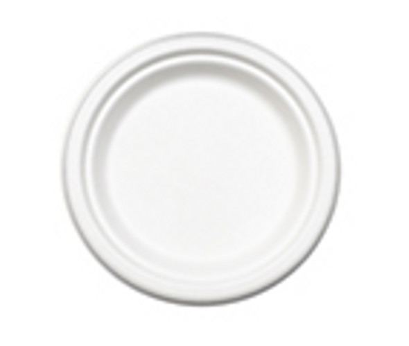 6" White Round Sugarcane Fiber "Paper" Plates (1000/Case)