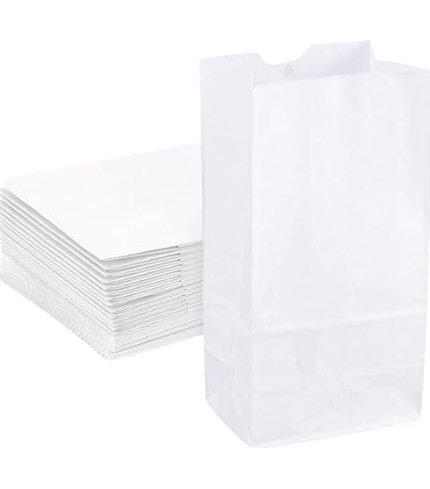 #2 White Paper Grocery Bags (500/Bundle)