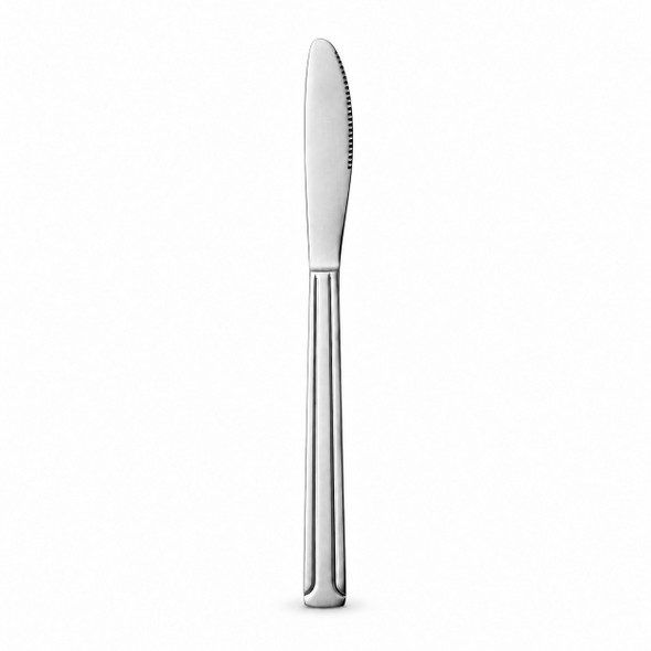 Dominion stainless steel dinner knife with a serrated edge and unbranded blade
