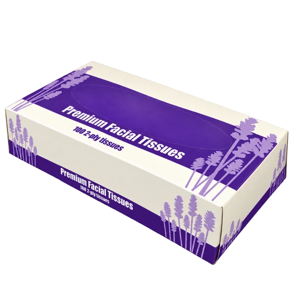 2-ply white facial tissue, 100 sheets — angled carton view