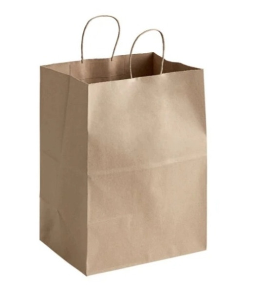 Natural Kraft Rope Handle Shopping Bag, 12" x 9" x 16" (200/Case)