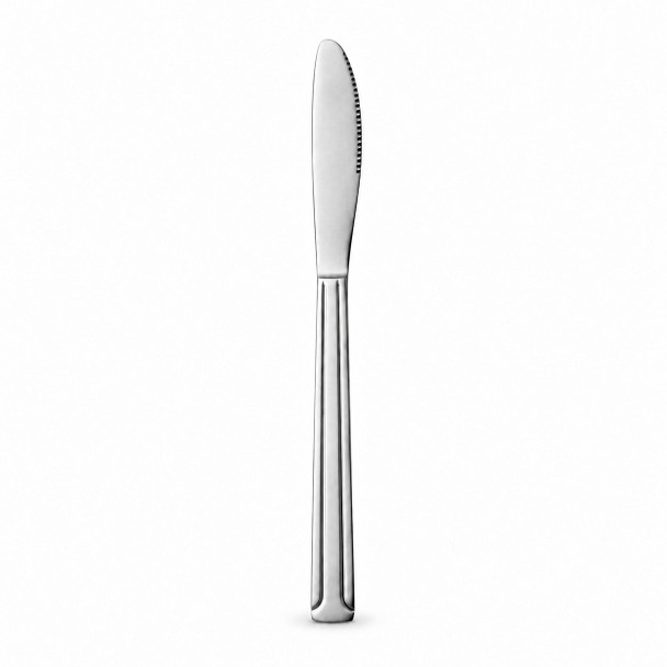 Dominion stainless steel dinner knife with a serrated edge and unbranded blade