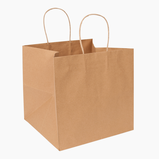 Solex 10x10x10" Premium Natural Kraft Paper Shopping Bags w/ Rope Handles (200/Case)