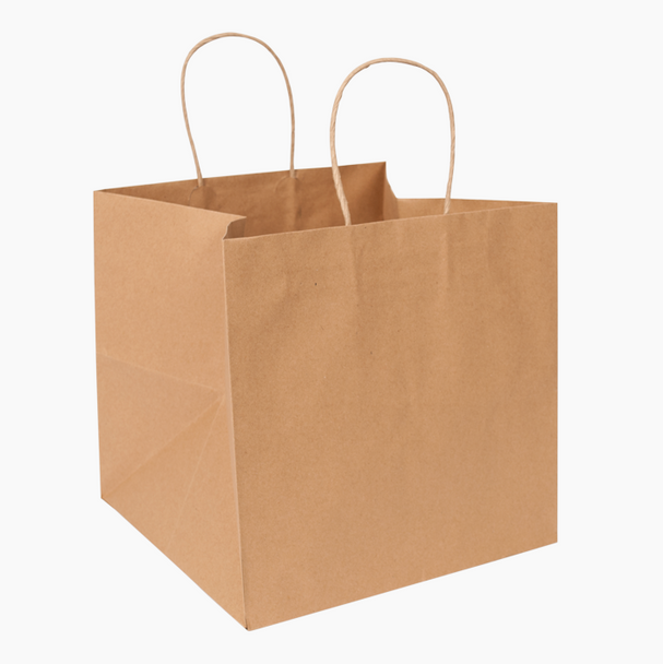 10x10x10" Rope Handle Paper Shopping Bags, Natural Kraft (250/Case)