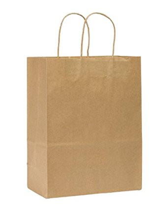 Solex 10x5x13" Natural Kraft Paper Shopping Bags with Rope Handles (250/Case)