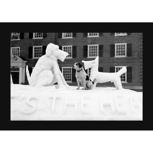 Winter Carnival 1948 Dogs Dartmouth