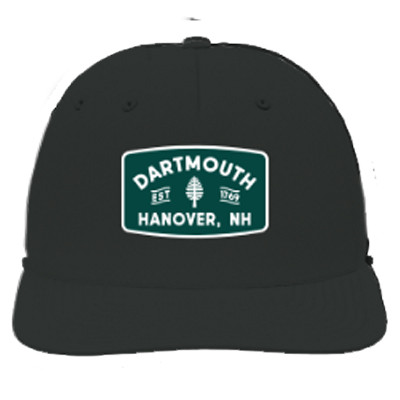 Standard Rec. Dartmouth Est Patch Hat