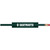 Green Dartmouth Pencil