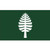 Dartmouth Lone Pine Flag