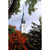 Baker Tower Fall Dartmouth College