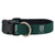 Tuck Shield Dog Green Collar