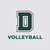 Volleyball D Exterior Decal Dartmouth