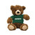 Junior Bear with Dartmouth Tee