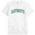STANDARD REC Block Tee Dartmouth