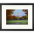Dartmouth Baker Library in Autumn Art Poster: Doug Henry