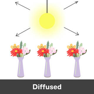 Diffused LED lighting