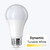 Leona® Dynamic Tunable White Smart Bulb - E26 Base, Wifi, Alexa and Google Home Compatible Leona® Dynamic Tunable White Smart Bulb - E26 Base, Wifi, Alexa and Google Home Compatible