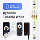 Dynamic Tunable White LED Strip light Kit - CRI up to 98