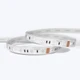 A coiled Outdoor ColorBright™ RGB 300 IP65 LED Strip with a silicon-coated circuit board and 3M adhesive backing.