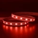 Outdoor ColorBright™ RGB + Tunable White IP65 LED Strip lit in blue, green, red, purple, and various white hues while coiled.