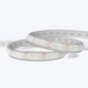 A coiled Valor™ Diffused IP67 LED Strip showing its flexible frosted casing and 3M adhesive backing on a white background.