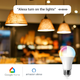 Alexa and Google Home Compatible Smart Light Bulb