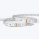 A coiled Outdoor ColorBright™ Vivid Single-Color IP65 LED Strip showing the silicon-coated circuit board and 3M backing.